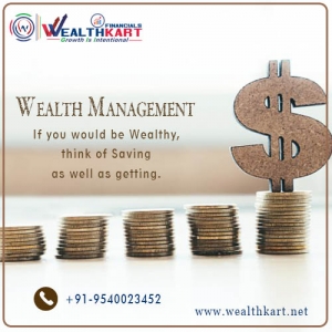 Financial Consultancy in Delhi – Wealthkart.net